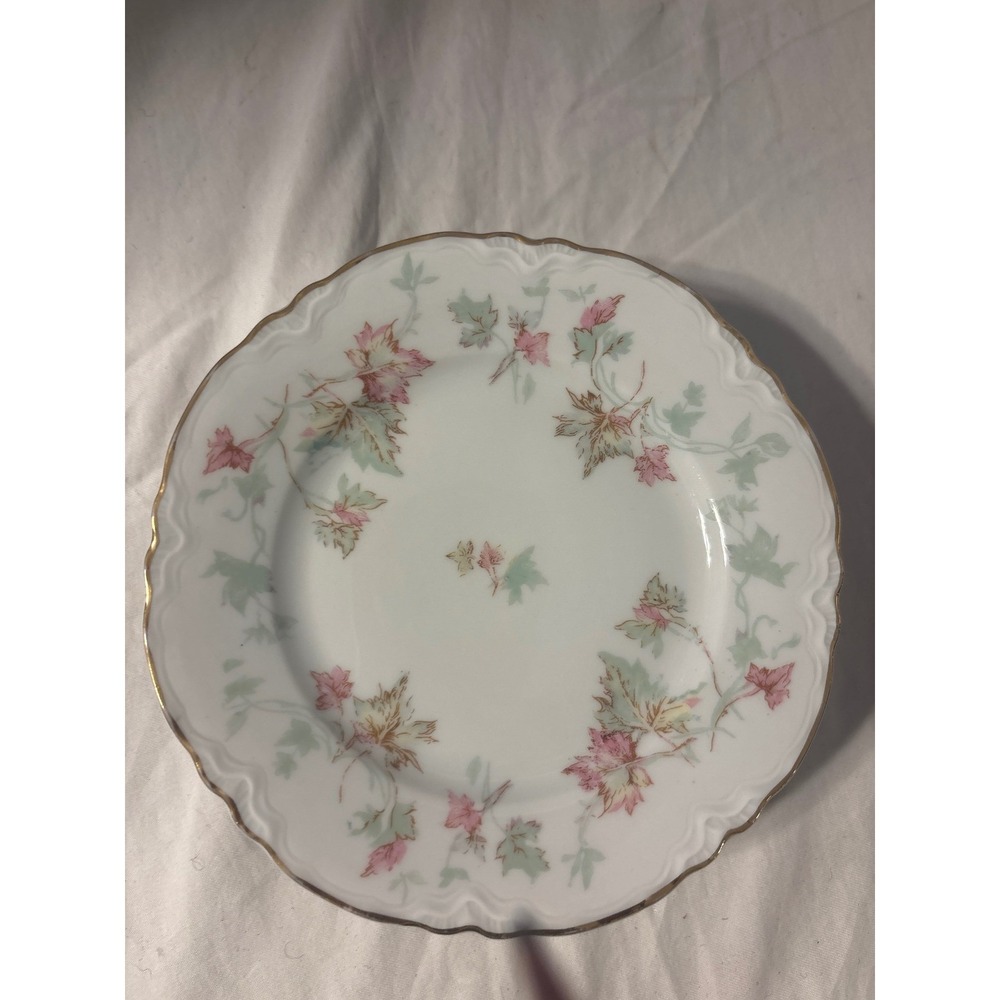 Hutschenreuther Selb Bavaria Plate Set of 5 Pink Green Maple Leaf Gold Trim 6.25
